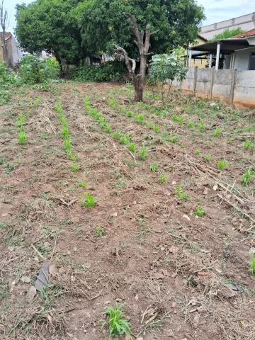 Terreno à venda R$ 450.000,00 - Vila Naidelice / Vila Pires - Santa Bárbara D`Oeste /SP